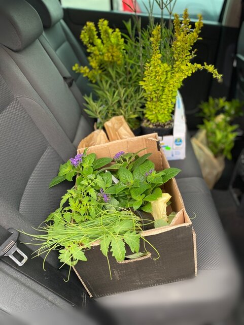 IMG_9817.jpeg - May_Day