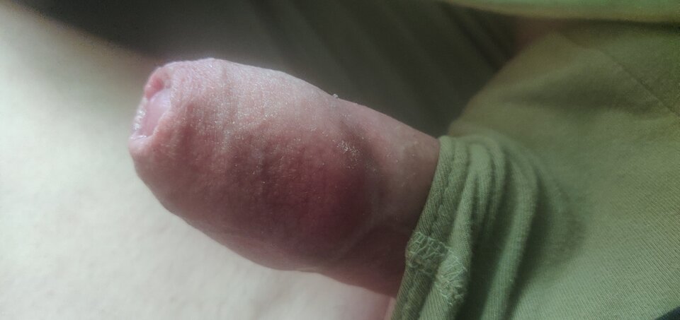 IMG_20240417_121613.jpg - fajnykutasek25