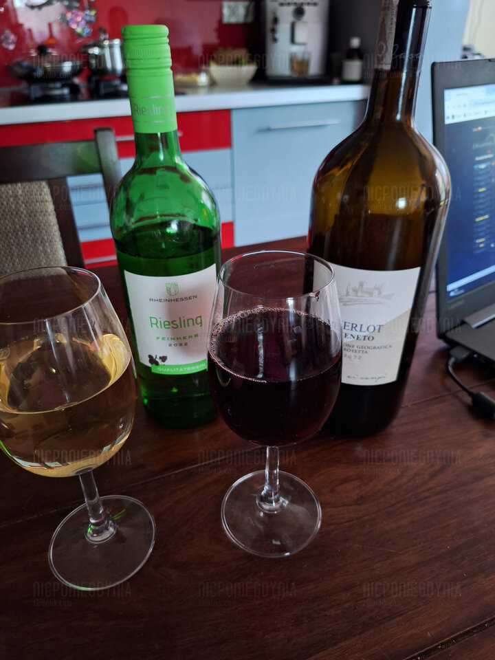 1000007194.jpg - NicponieGdynia