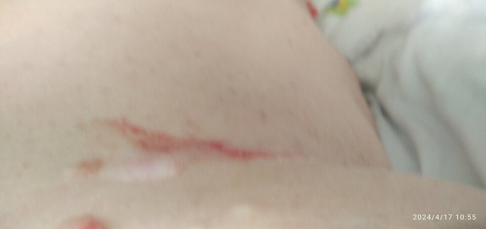 IMG_20240417_105529_1.jpg - Ajsza69