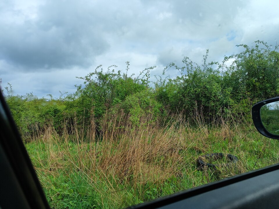 17134312902612344393965705800554.jpg - Wezyrerw