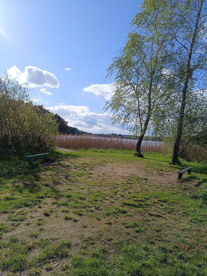 17134515580848664723817308779004.jpg - Kamil0078