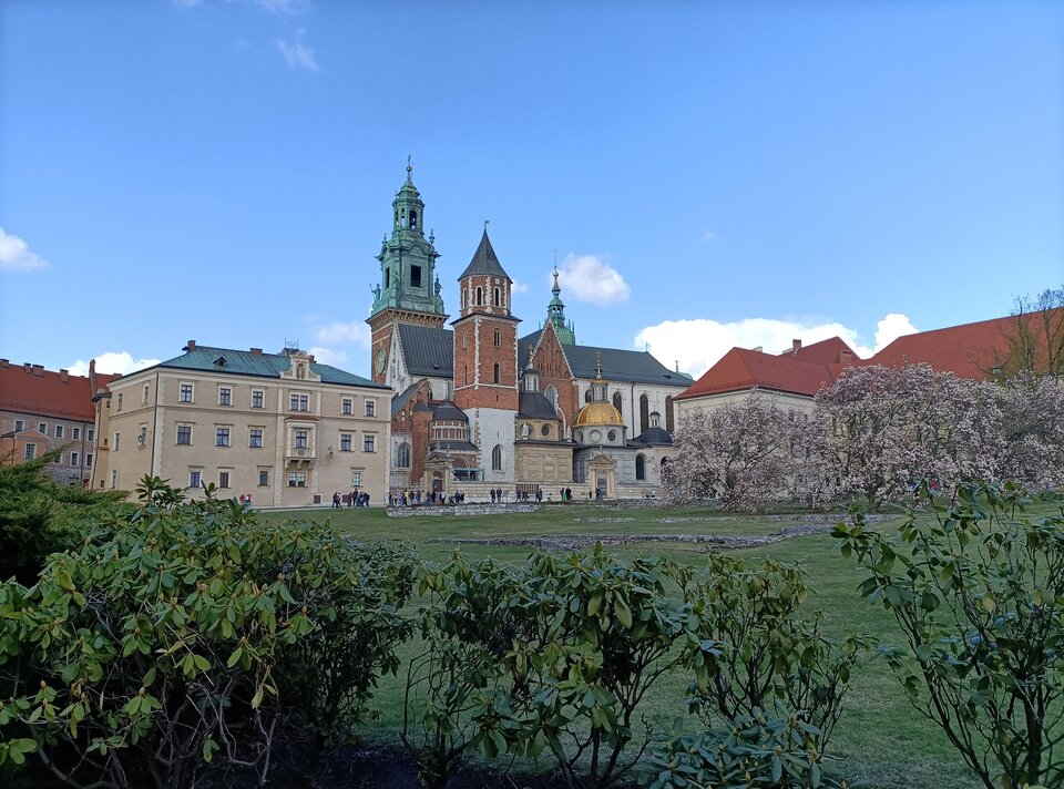 IMG20220410152034~2.jpg - jaiwenus