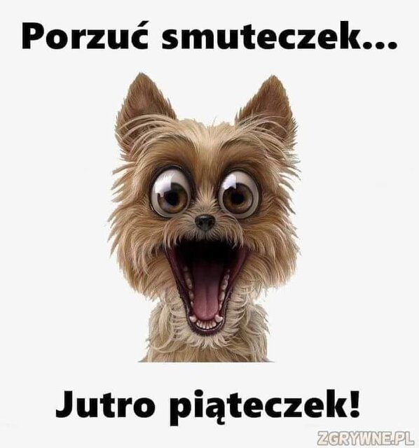 Messenger_creation_f35a63a7-b94b-4885-beea-632beb24fbbd.jpeg - holywood