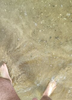 IMG_20240419_184447.jpg