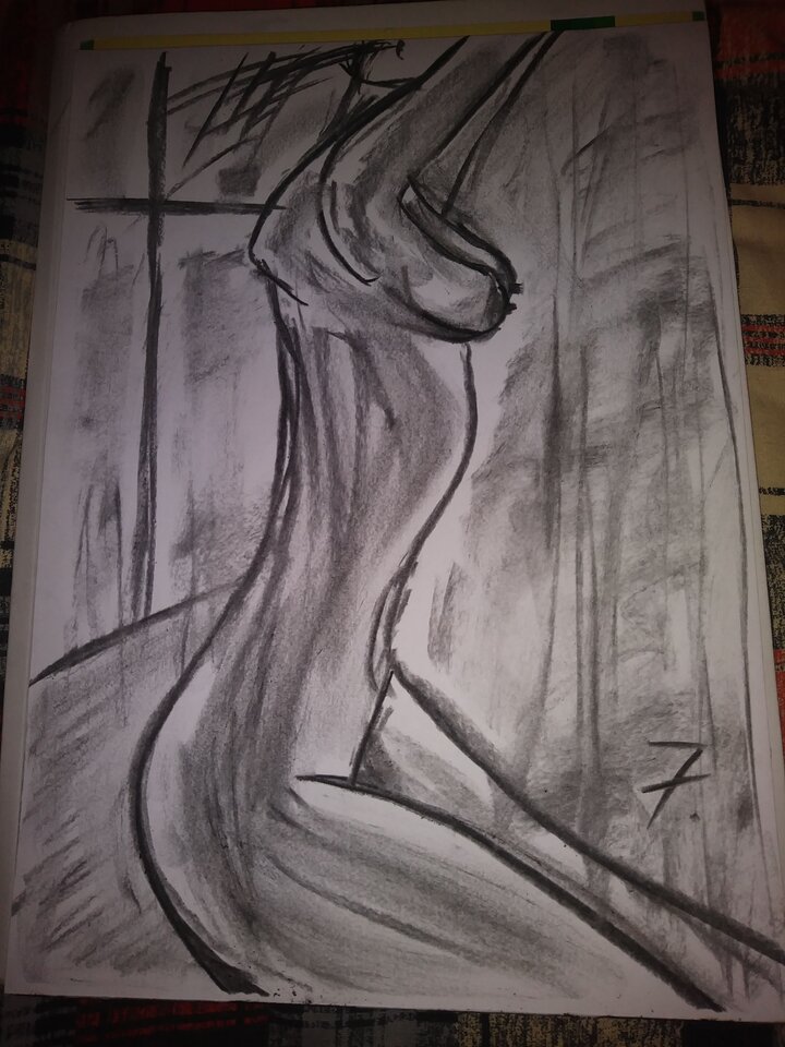 20200110_153812.jpg - Miki8012