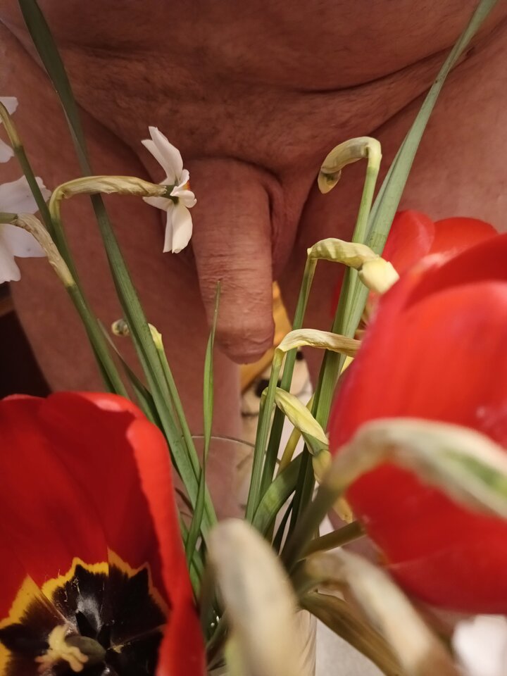 IMG_20240419_233555771_HDR.jpg - Wlodekass