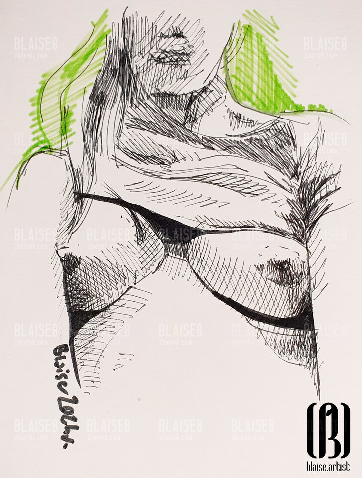 Art. No. 272 - blaise8