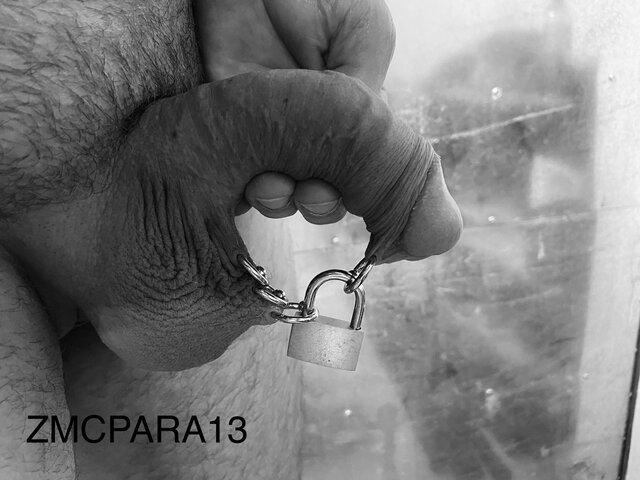 zmcpara13