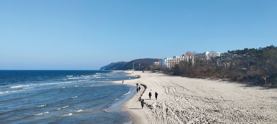 IMG_20240307_121526.jpg - torii99
