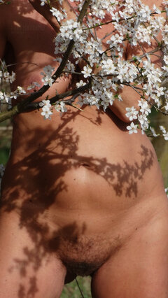 DSC04464.JPG