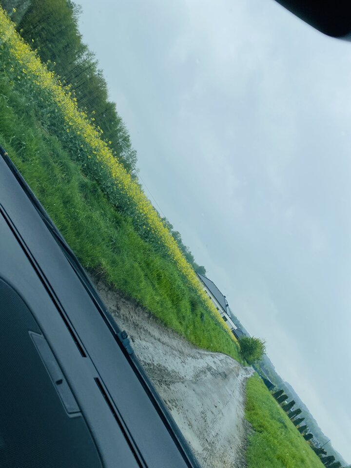 IMG_9896.jpeg - May_Day