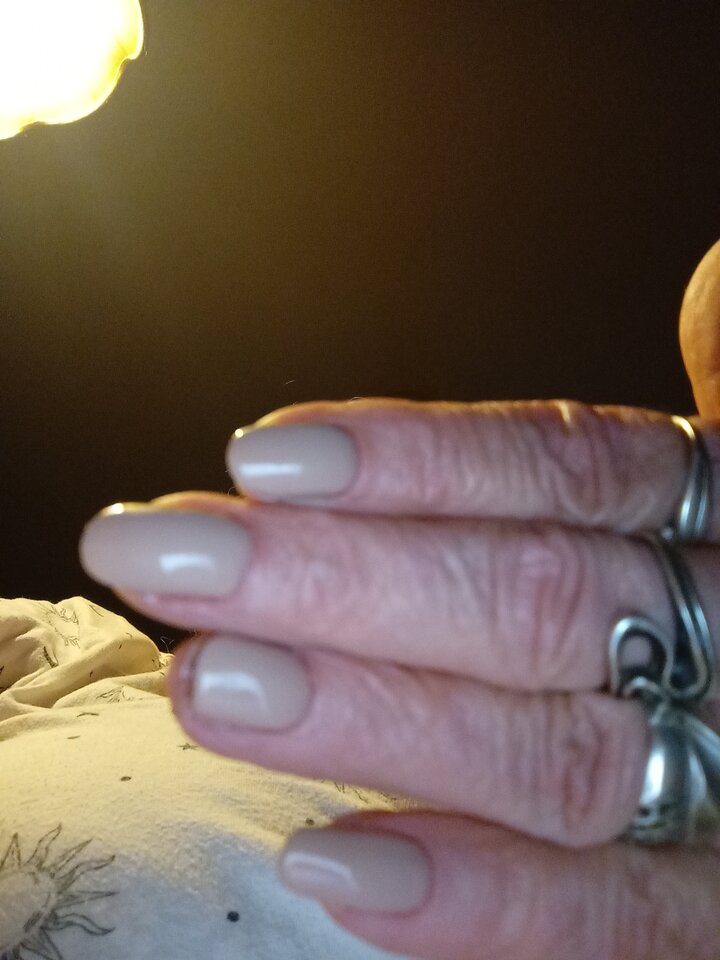 IMG_20240311_202007.jpg - pulchna65