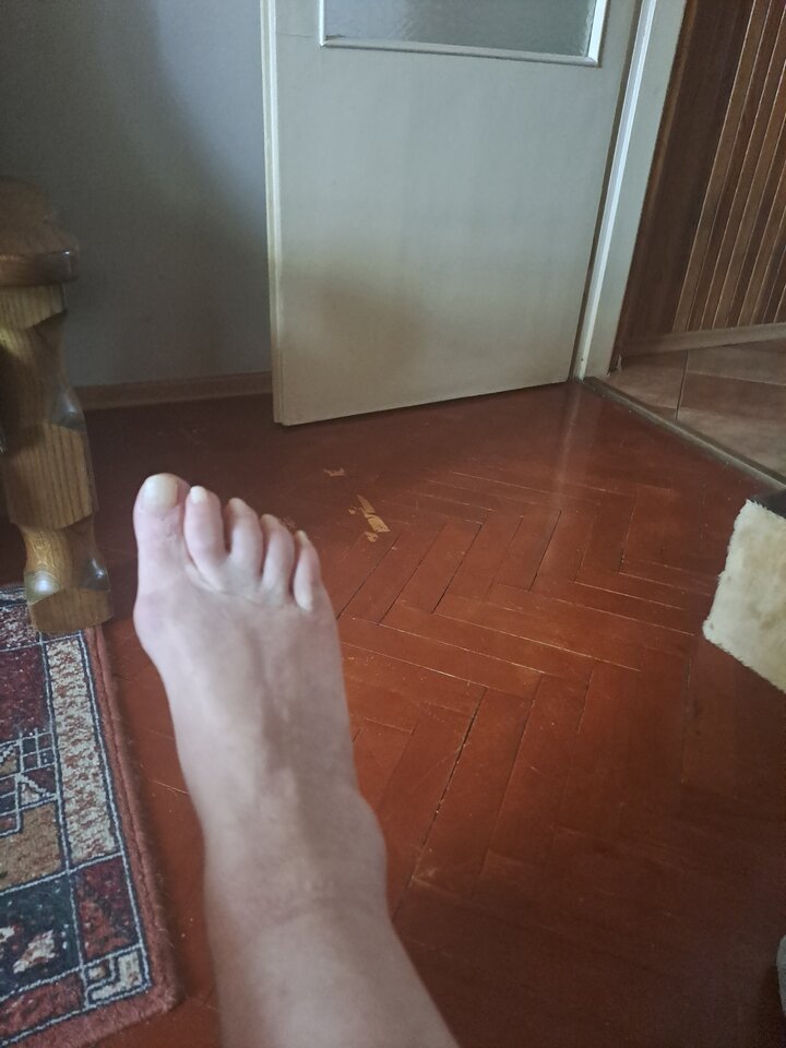 20230416_160521.jpg - pulchna65