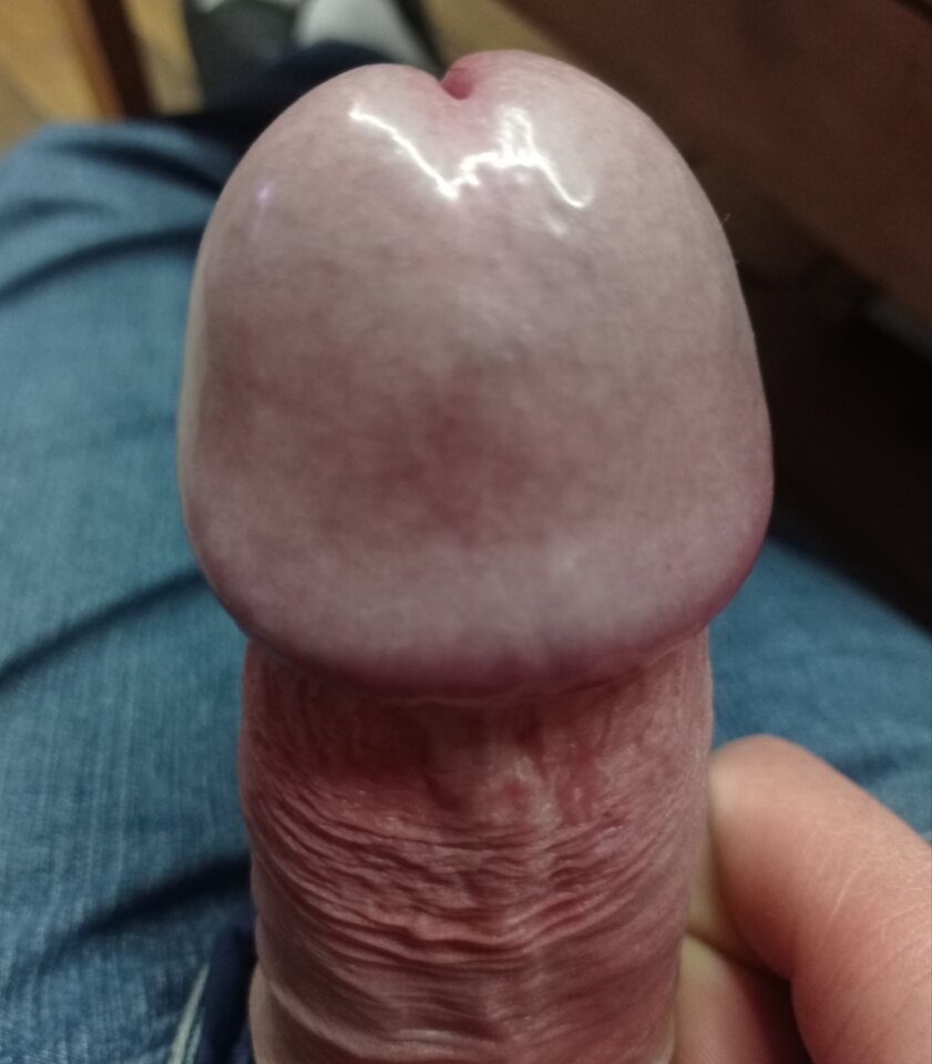 IMG_20240422_084224.jpg - tomciolkr