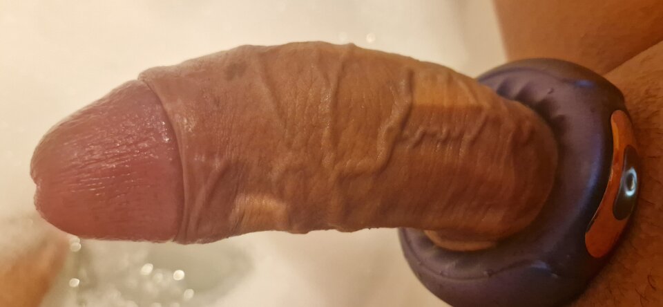 20240422_135025.jpg - Pindorpomidor