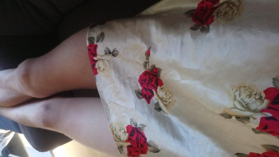 DSC_1421.JPG - MoniaTransCD