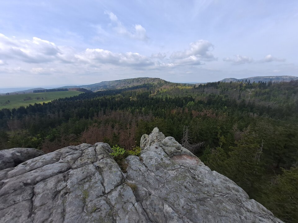 Z chęcią bym tu jakąś kobietkę zaspokoił 😈😈 - Napalony8637