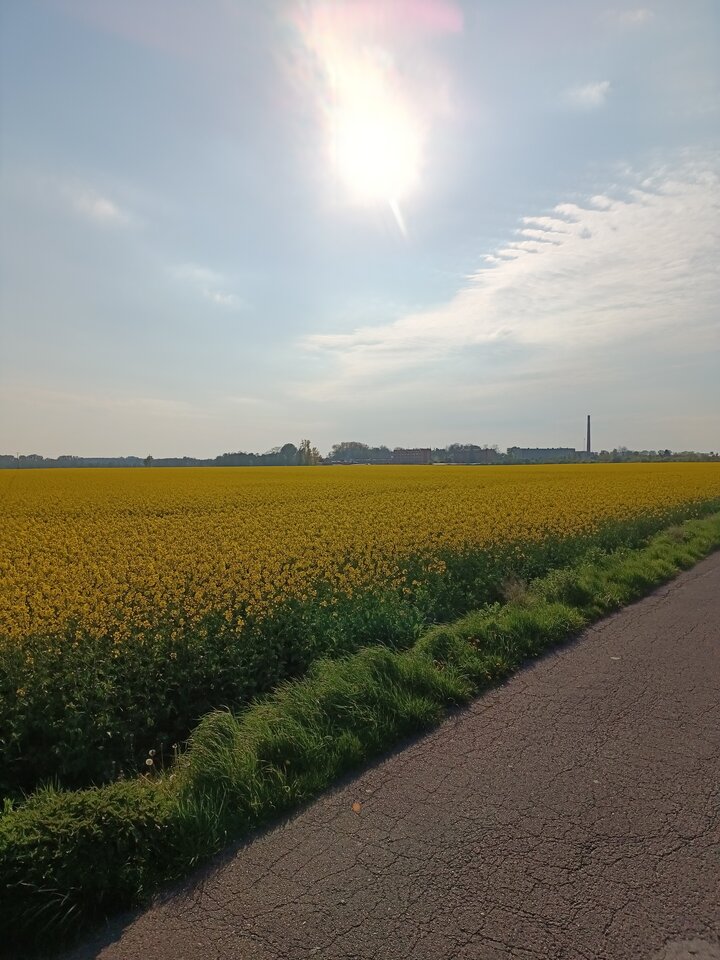 IMG20240423171458.jpg - hypns