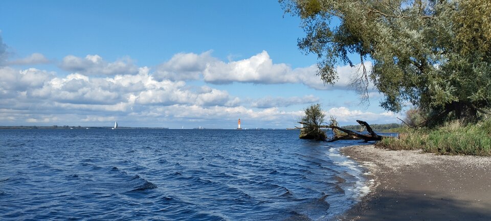 IMG_20230923_120243.jpg - torii99