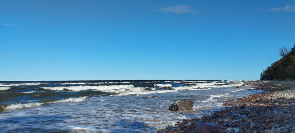 IMG_20231008_124928.jpg - torii99