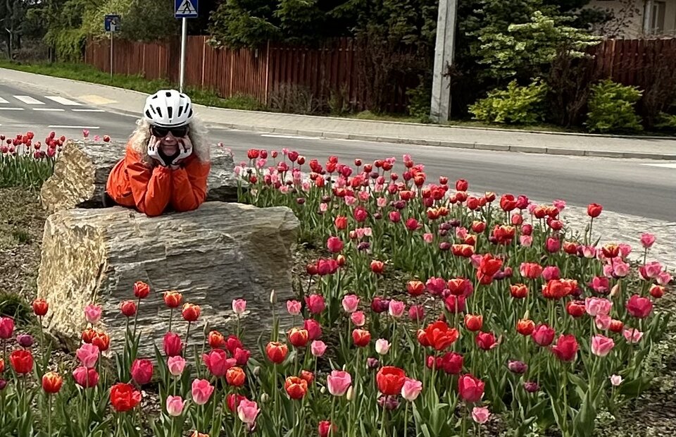 IMG_7009.jpeg - Amaterasu_