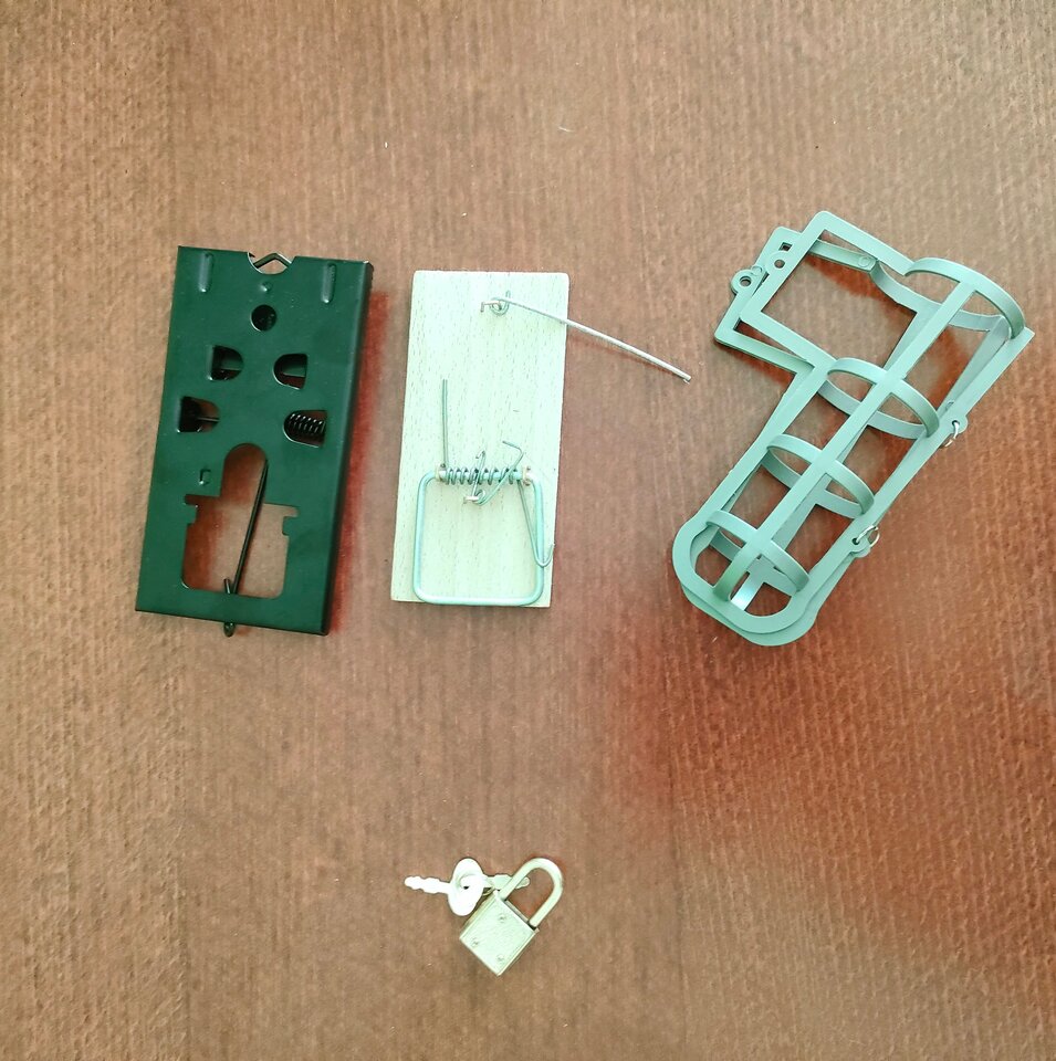 IMG20220531155217~2.jpg - BBWDomina