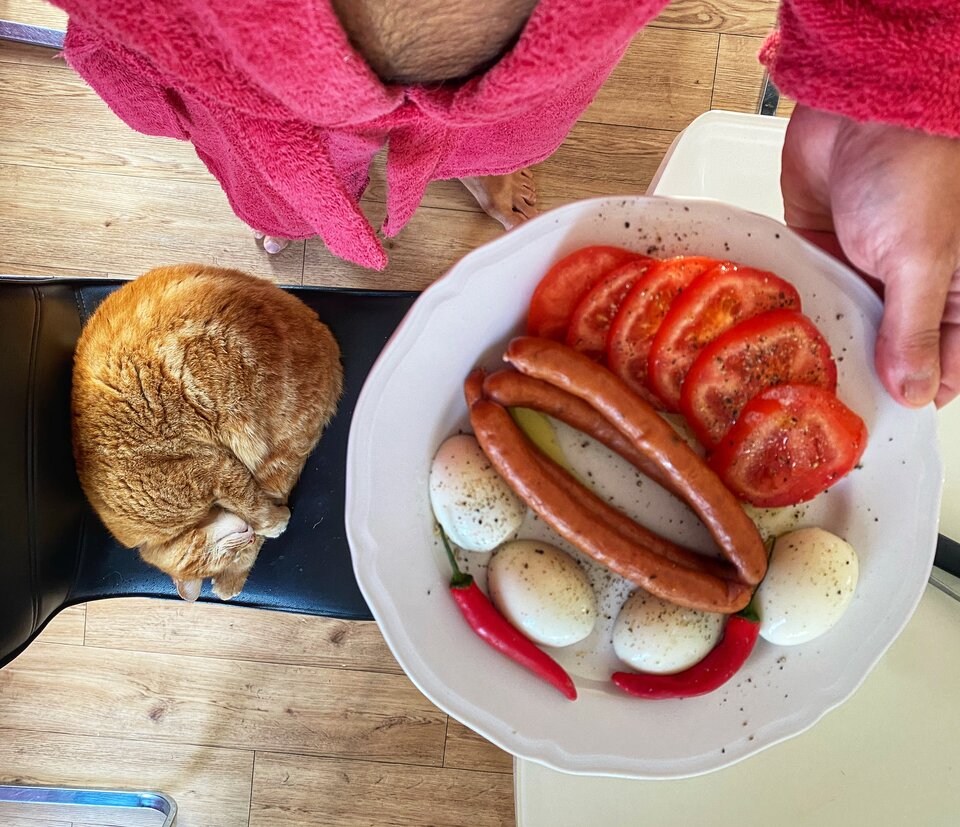 😻🐈‍⬛ - serialowapara19782