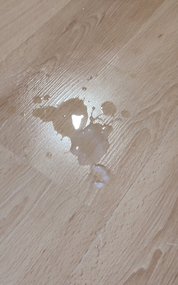 masakra.jpg - dziobak_