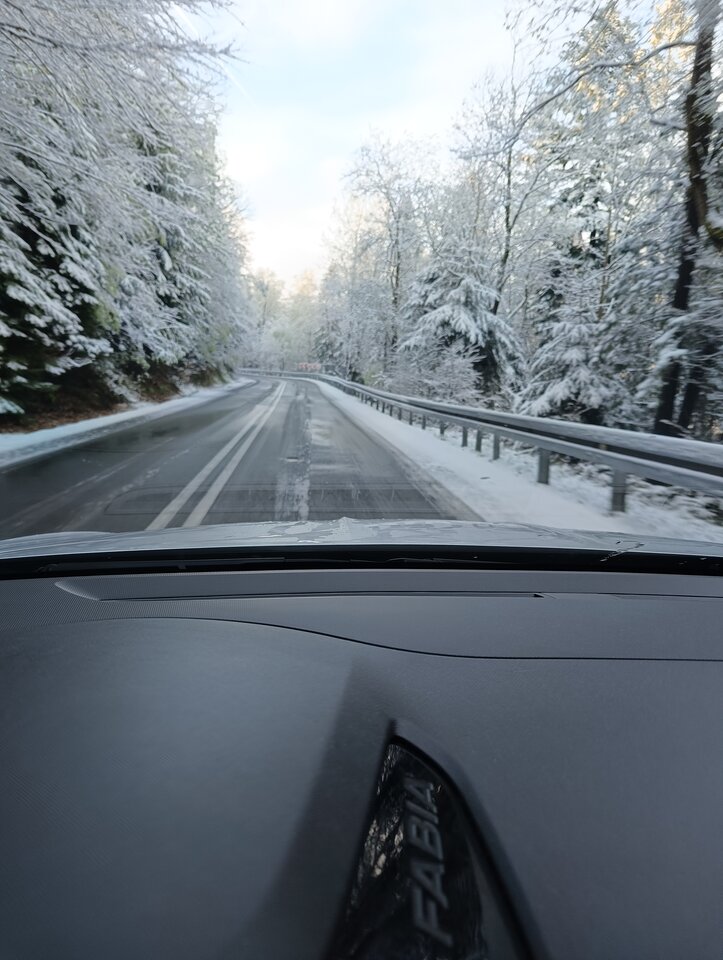 IMG20240425071317.jpg - 19Kasia75