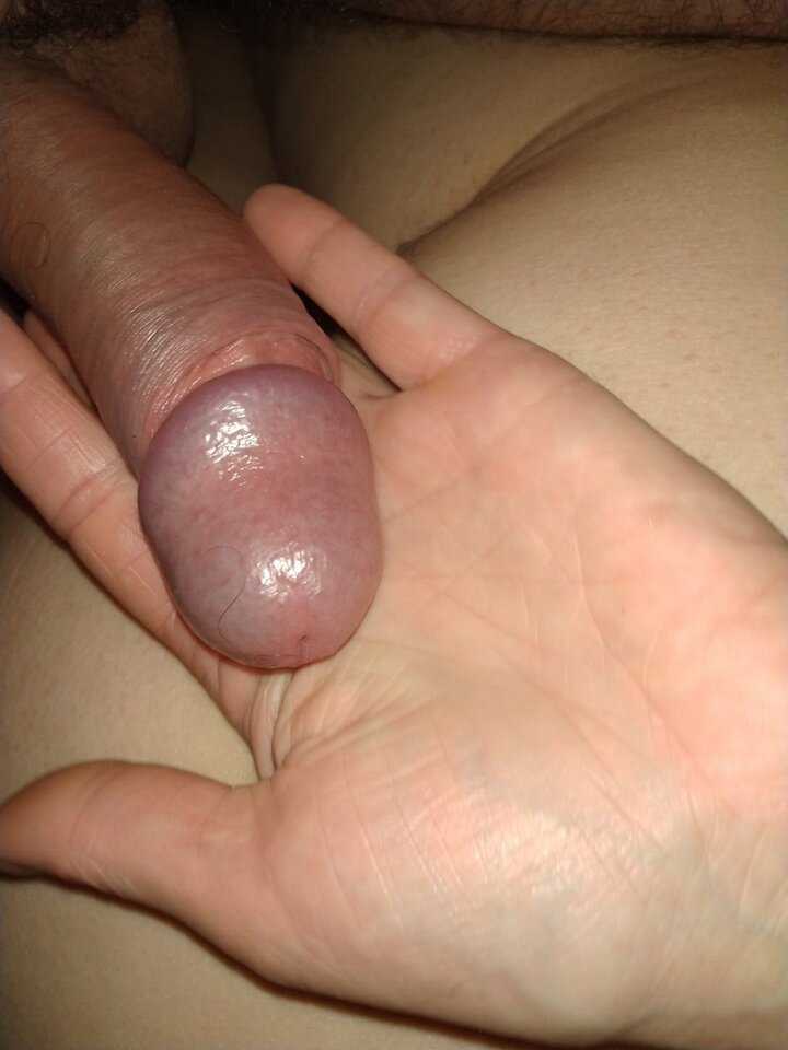 Z-20240425-1.jpg - bobbix