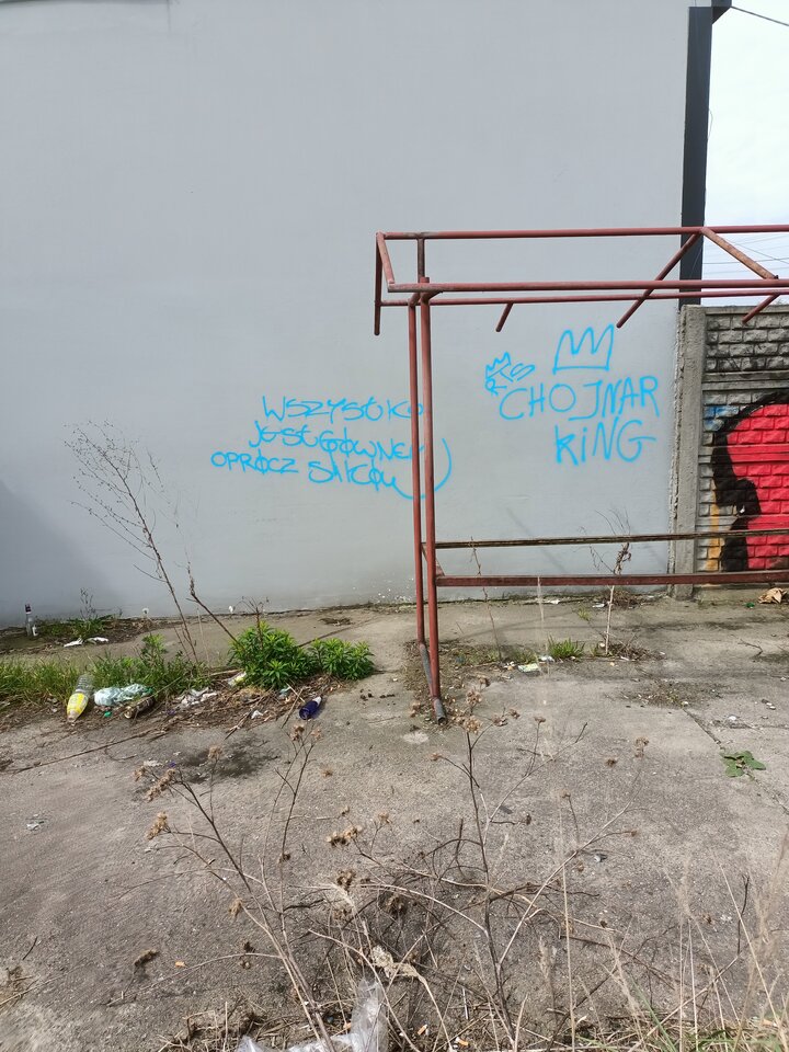 IMG20240424115455.jpg - hypns