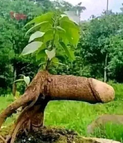 Wiosna ach to ty😋🌞