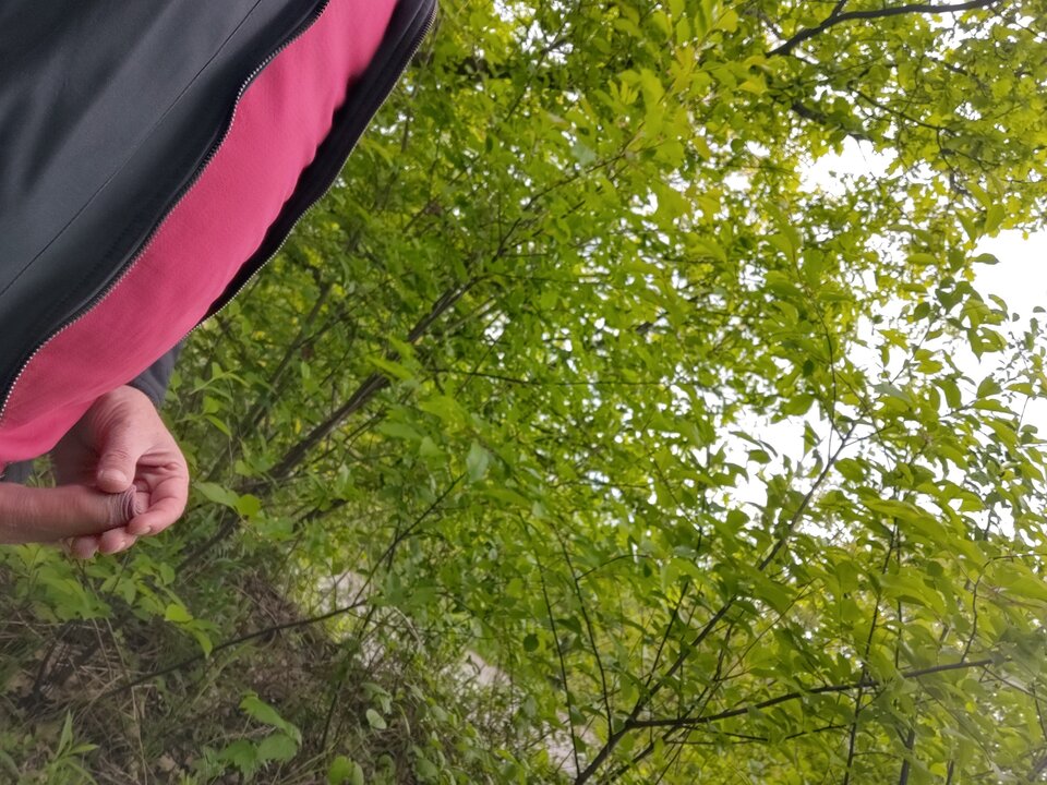 IMG_20240426_171039098_HDR.jpg - lukakrak