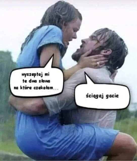 FB_IMG_1714162827047.jpg - Wberlinie311