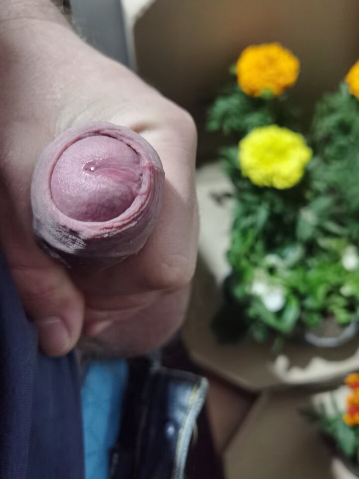 1714169441159.jpg - Mabakol