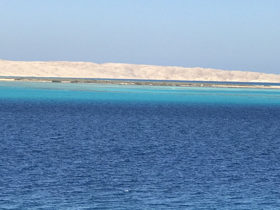 IMG_9298.jpeg - desertman