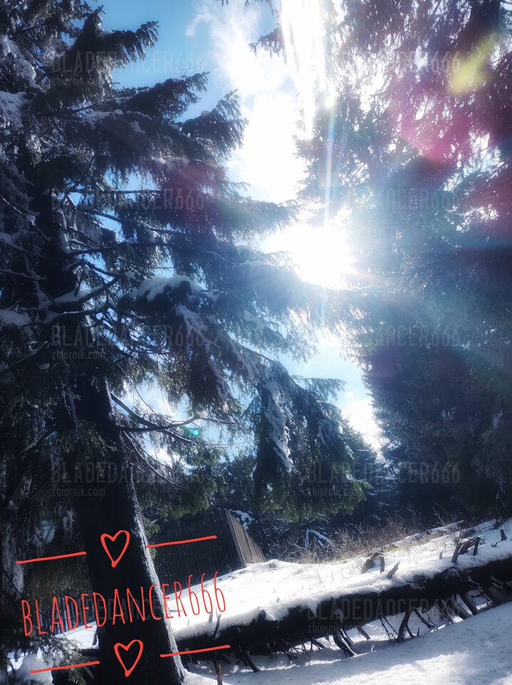 1000033748-01.jpeg - Bladedancer666