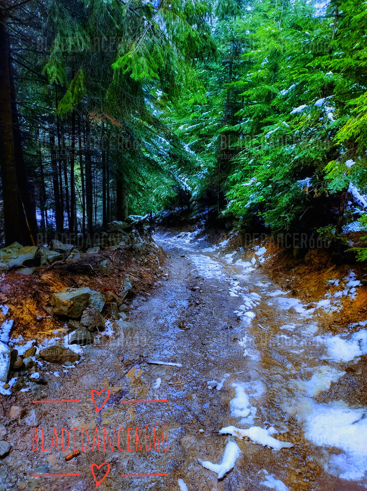 1000033588-01.jpeg - Bladedancer666