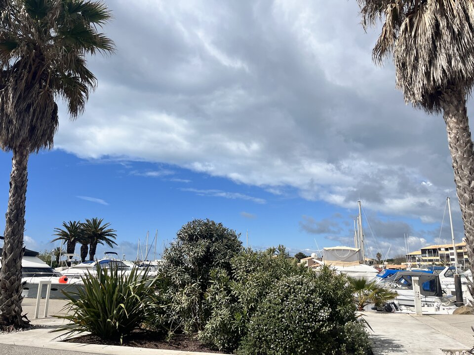 IMG_6195.jpeg - MarqisX
