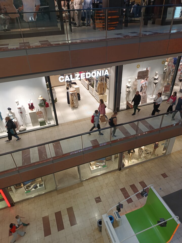 1714232366802363210382528675575.jpg - Palciusia