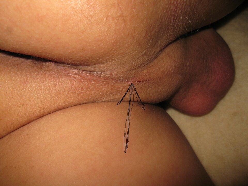 hiszpański osioł.jpg - zbusiu68