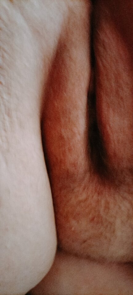 IMG20240428081300.jpg - Pysiupysiek