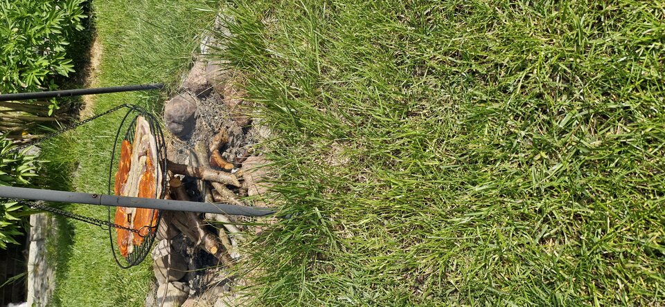 1000001487.jpg - gutek1234