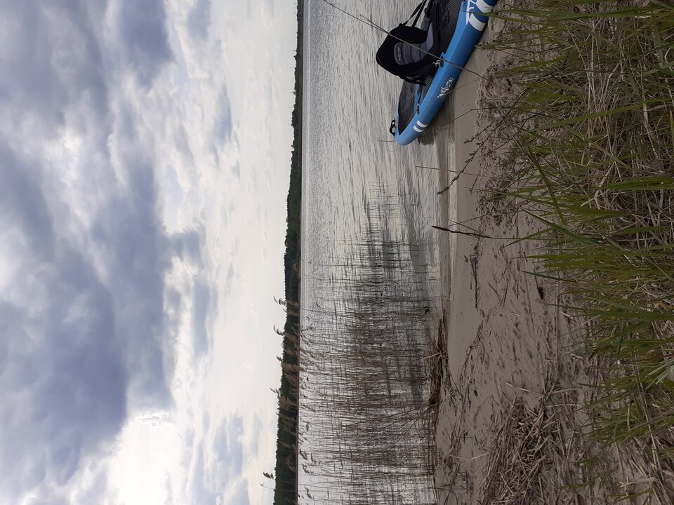 20240428_163348.jpg - sosnowieck