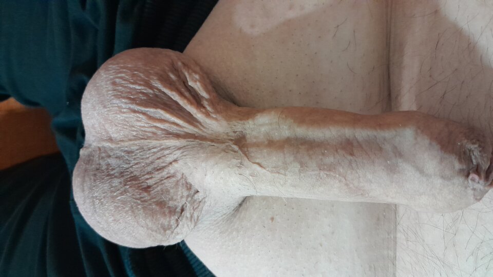 1000002805.jpg - bisukanatelefon