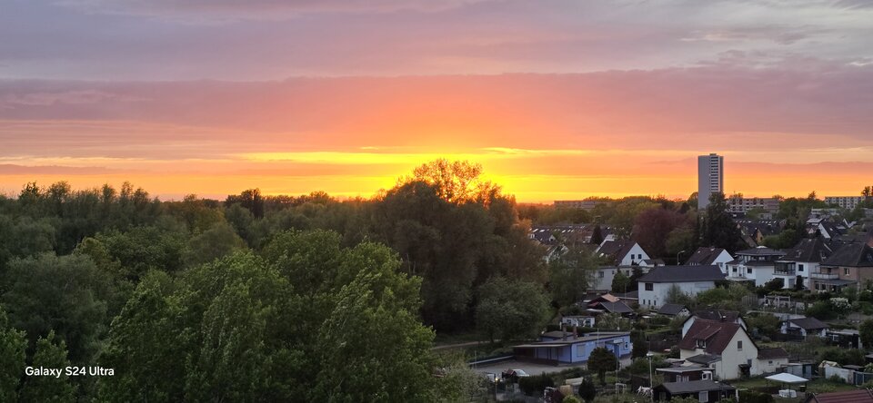 1000003681.jpg - ekszap