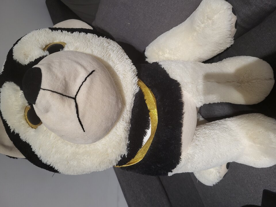 20240428_225543.jpg - Max07091985