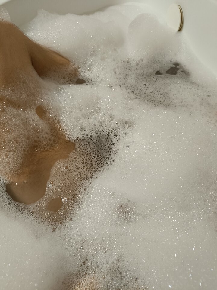 IMG_20240428_001634.jpg - FeelInside