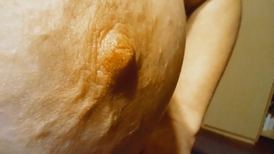 1000002962.jpg - WstydliwaParka8279